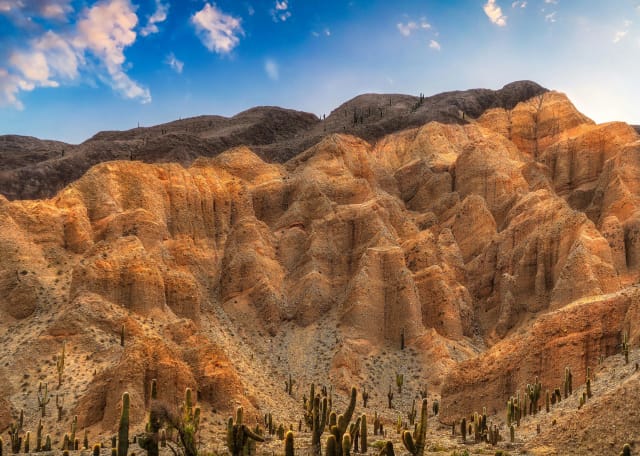 Viaggio di gruppo in Argentina