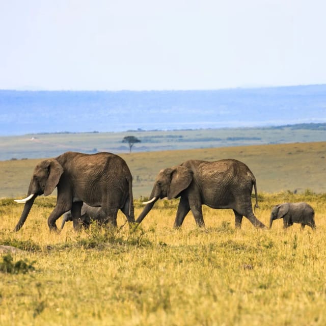 Viaggio in Uganda e Ruanda