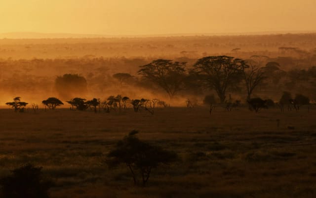 Viaggio di gruppo in Sudafrica