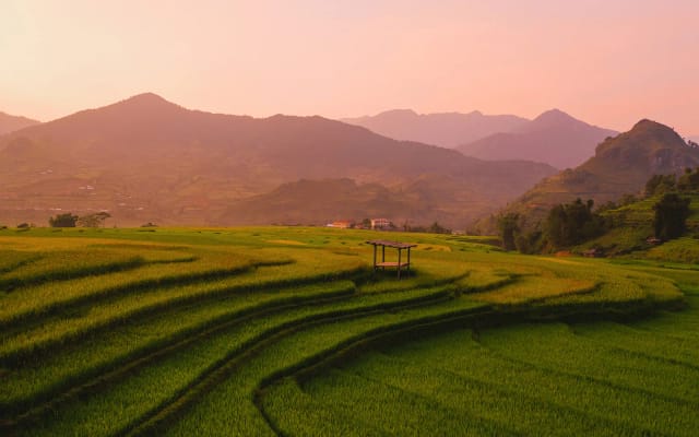 Autunno in Vietnam: on the road tra risaie e treni notturni