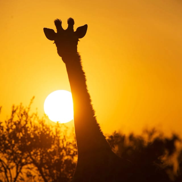 Viaggio in Uganda e Ruanda